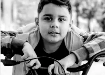 Após 12 dias internado, morre menino picado mais de mil vezes por abelhas em Catalão